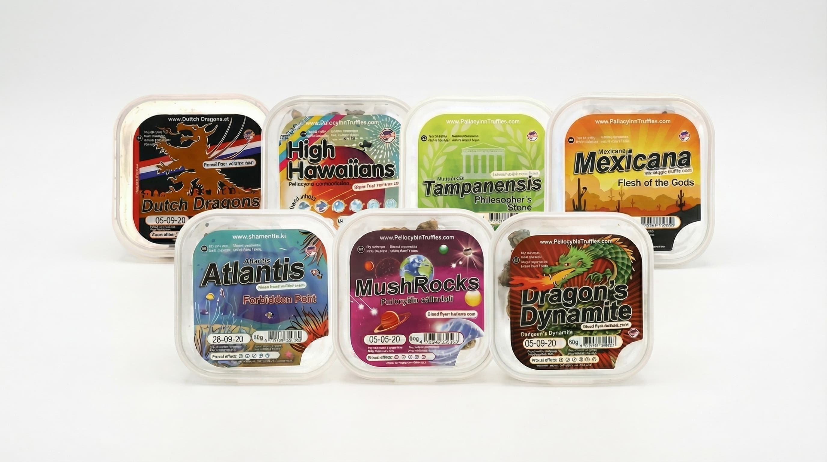 Verse Psilocybine Truffels